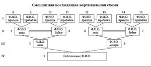 Проект малюємо родовідне дерево. Вчимося складати родовід і малювати генеалогічне древо.