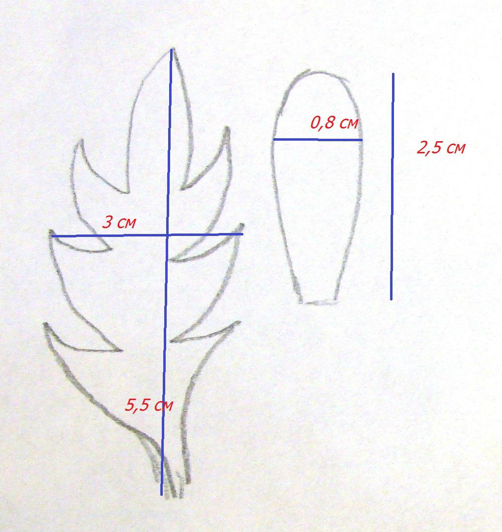 topiary 패턴에 대 한 Foamiran 꽃입니다. Foamiran 튤립입니다. 릴리 거품에서.