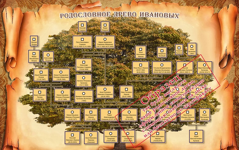 Проект малюємо родовідне дерево. Вчимося складати родовід і малювати генеалогічне древо.