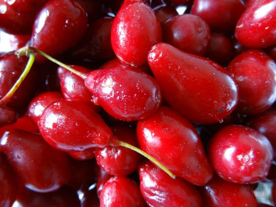 Lista dos alimentos mais calóricos. Os alimentos mais calóricos.