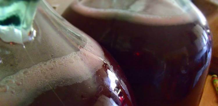 Como fazer vinho a partir de amora sem açúcar. Vinho e licor de amora em casa.