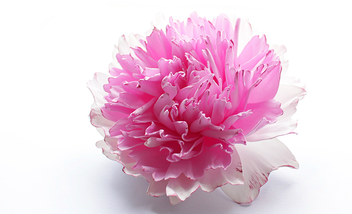 topiary 패턴에 대 한 Foamiran 꽃입니다. Foamiran 튤립입니다. 릴리 거품에서.