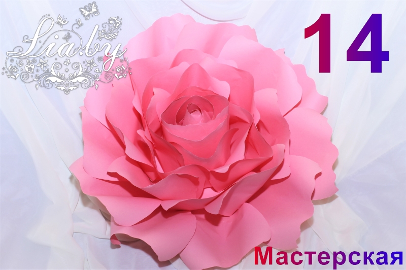Өөрийнхөө том цаасны цэцэг хэрхэн хийх талаар. Том цаасны цэцэг өөрөө үүнийг хийдэг