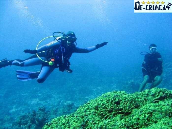 Де краще відпочивати в криму, щоб поправити здоров'я. Де краще відпочивати в Криму? Плюси, мінуси, особливості — Wo
