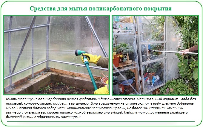 Обробка теплиць від хвороб і шкідників навесні